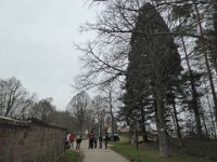 Sortie Phalsbourg CV Wingen 28 02 2016 (7)